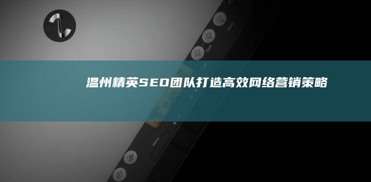 温州精英SEO团队：打造高效网络营销策略